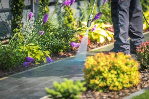 Best Pre-Holiday Cleaning  in Keokuk, IA
