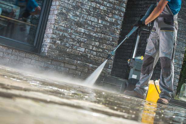 Best Animal Enclosure Cleaning  in Keokuk, IA